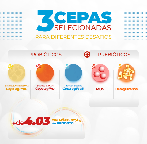 Banner Home agprosymbios