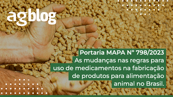 Banner do Blog
